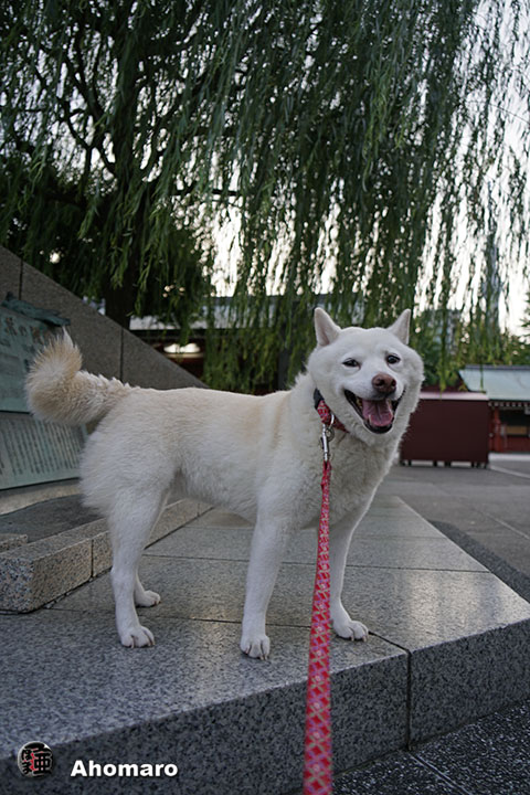 写真00