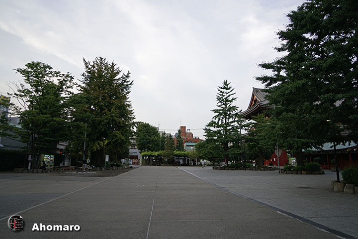 写真00