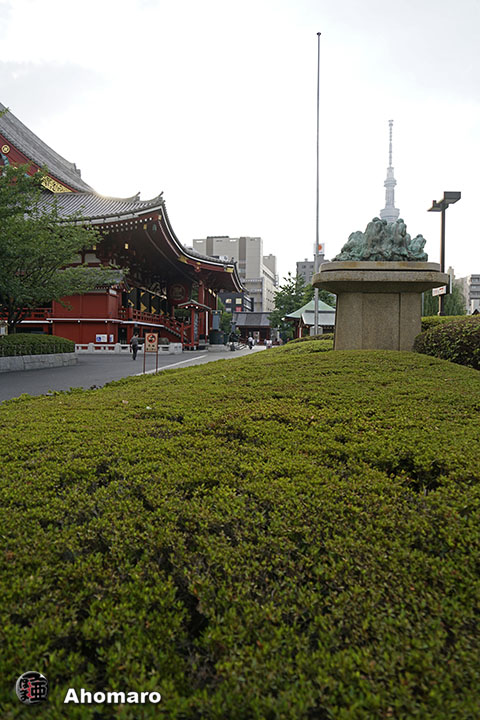 写真00