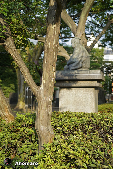 写真00