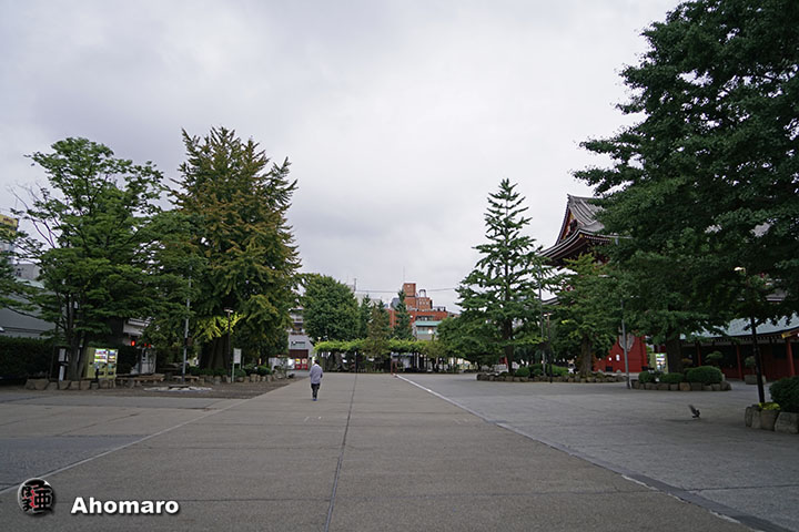 写真00