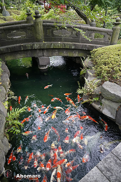 写真00