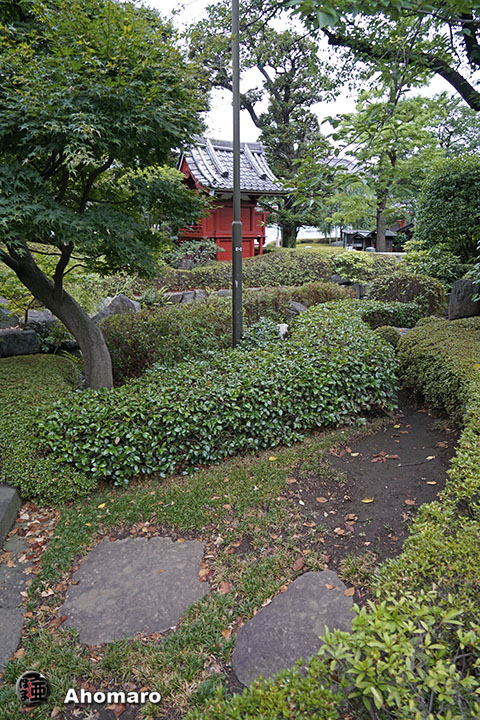 写真00