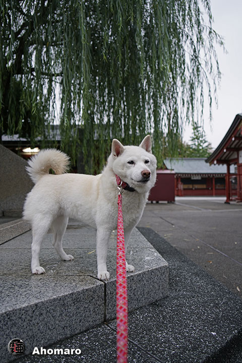 写真00