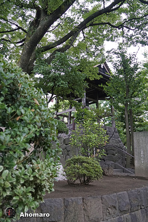 写真00