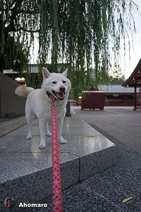 写真00