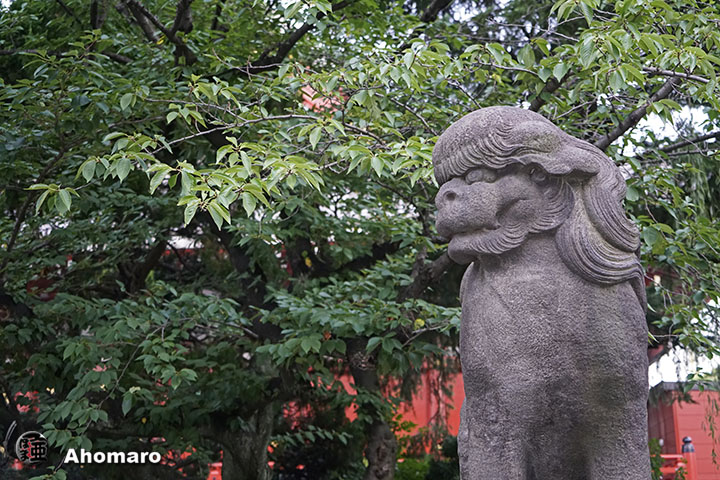 写真00