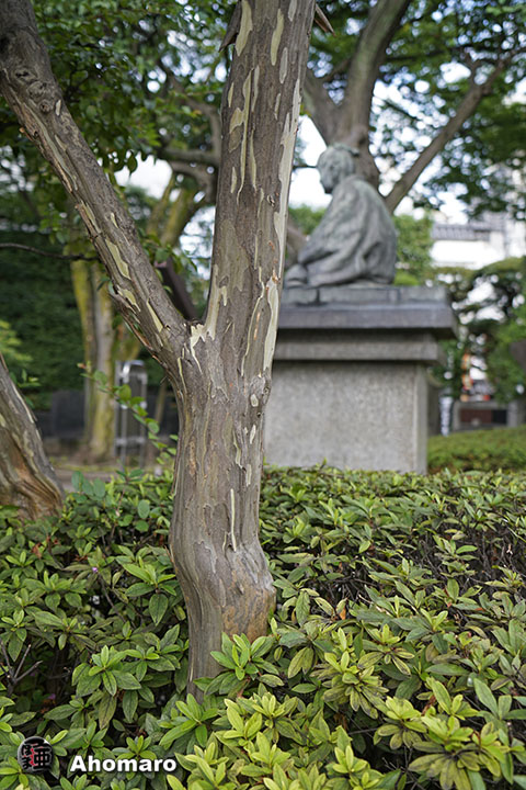 写真00