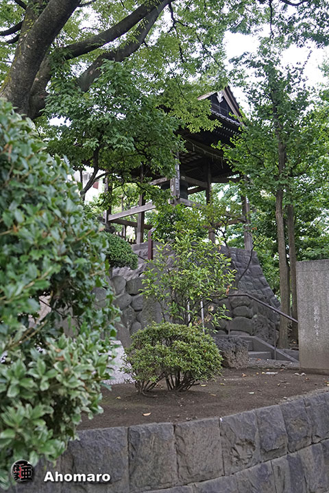 写真00