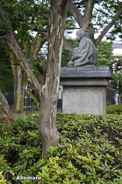 写真00