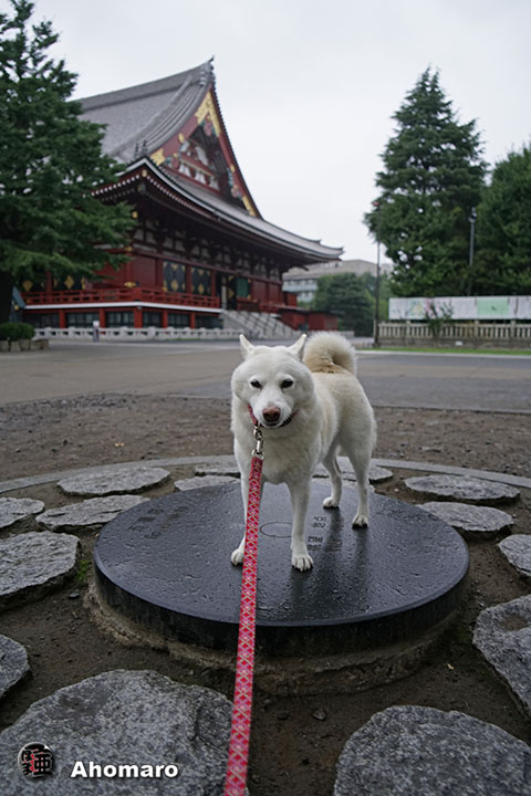 写真00