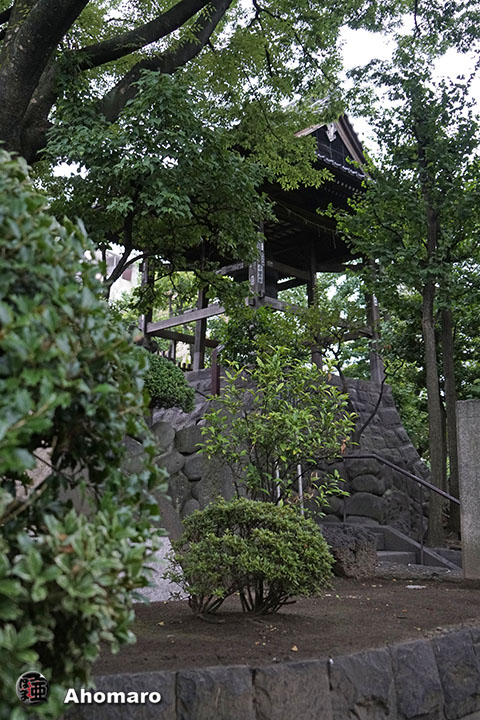 写真00