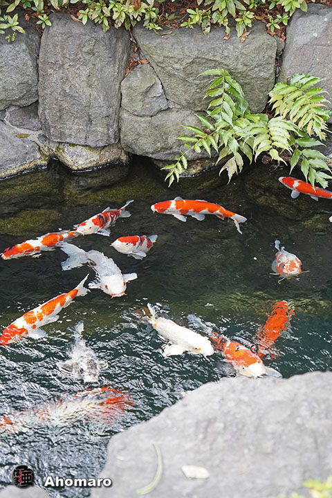 写真00