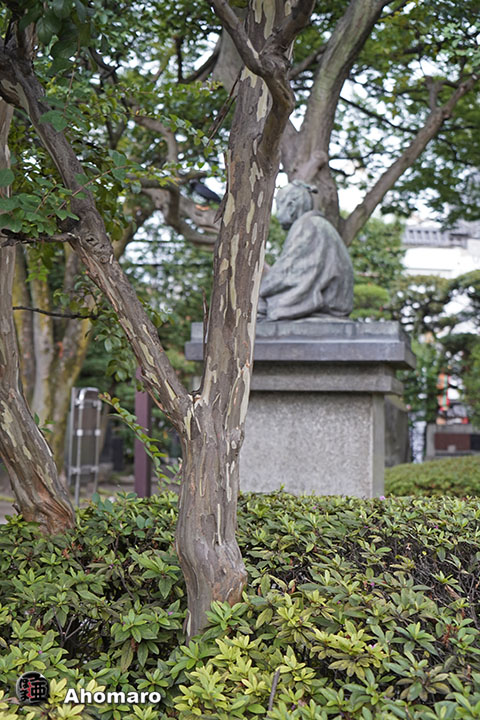 写真00