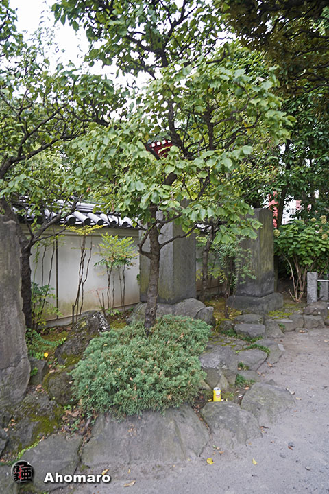 写真00