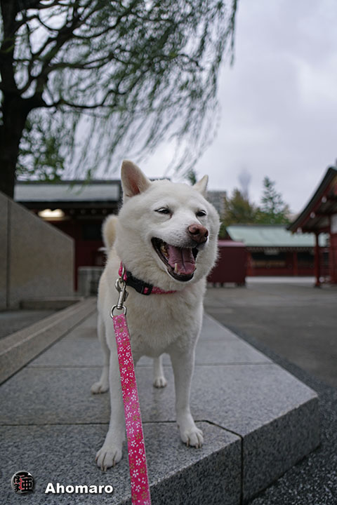 写真00