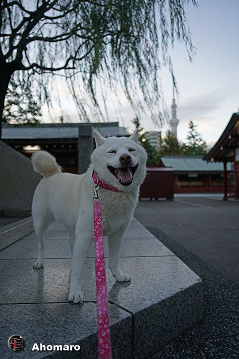 写真00