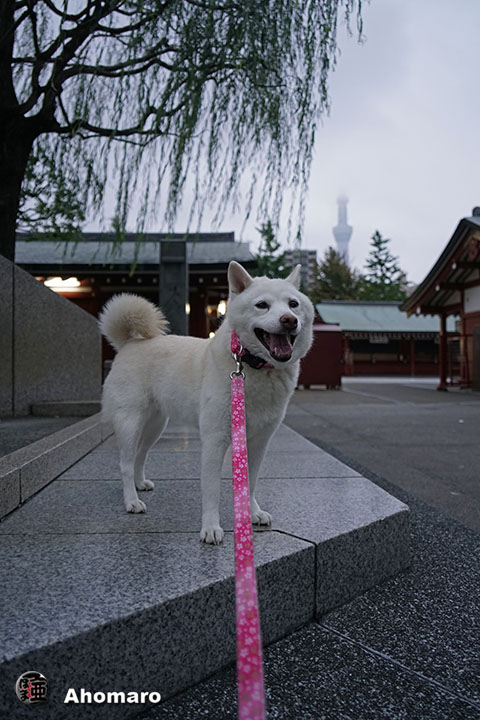写真00