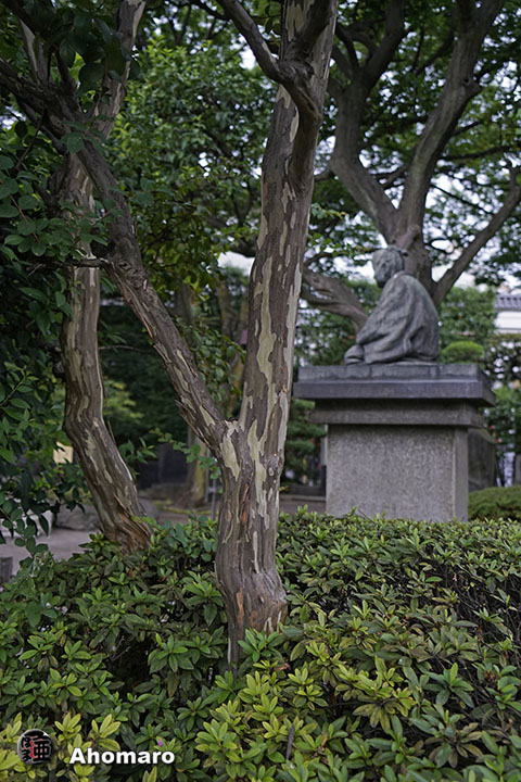 写真00