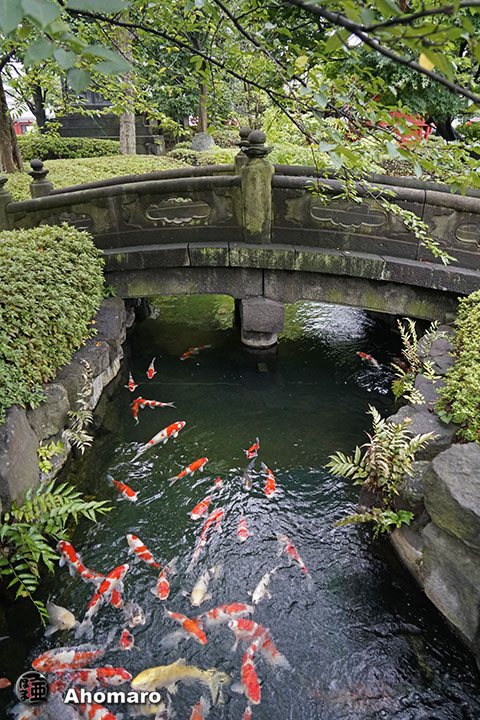 写真00
