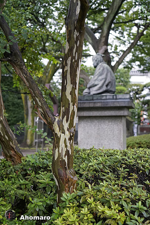 写真00