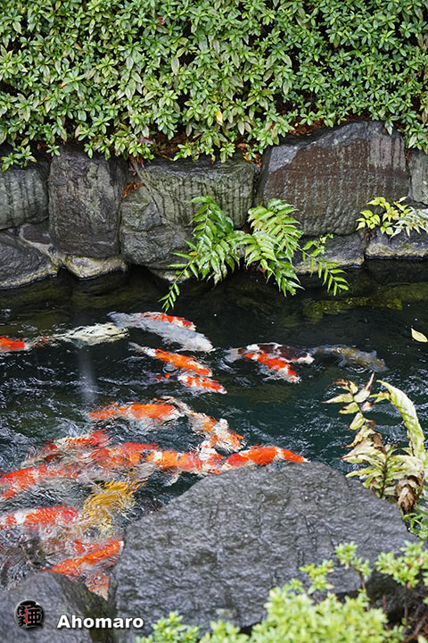 写真00