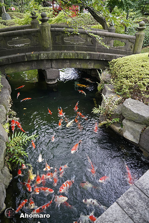 写真00