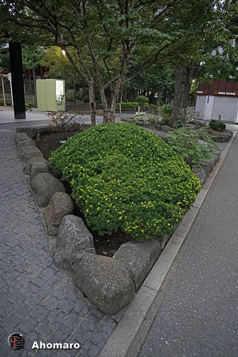 写真00
