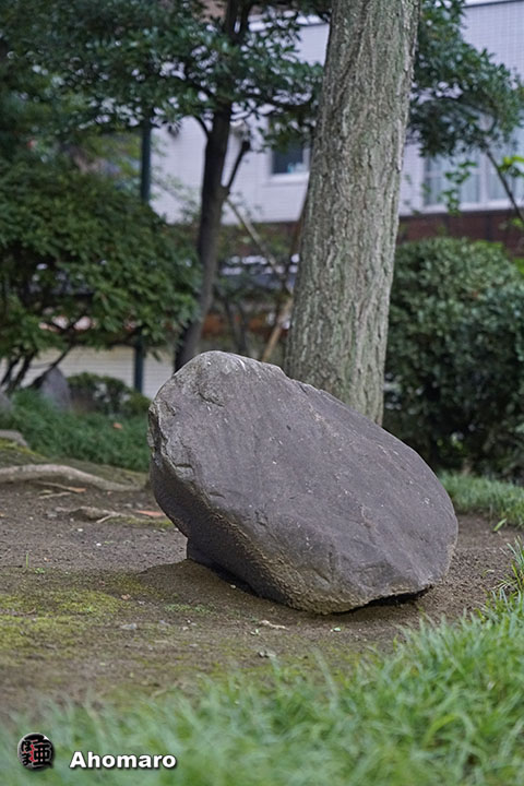 写真00