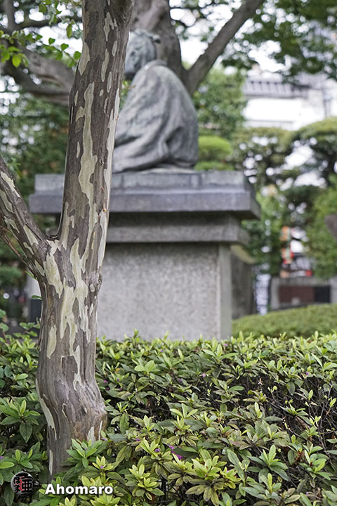 写真00