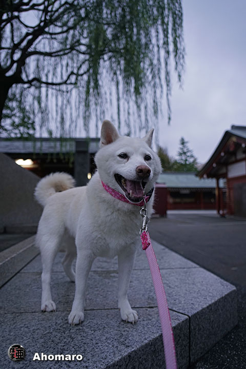 写真00