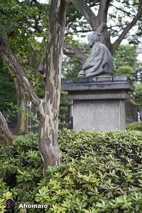 写真00
