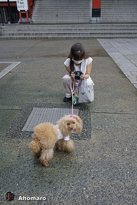 写真00