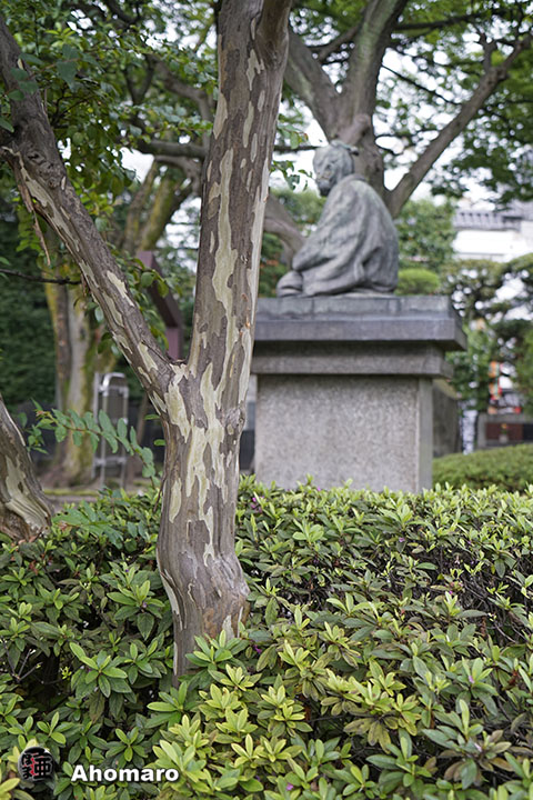 写真00