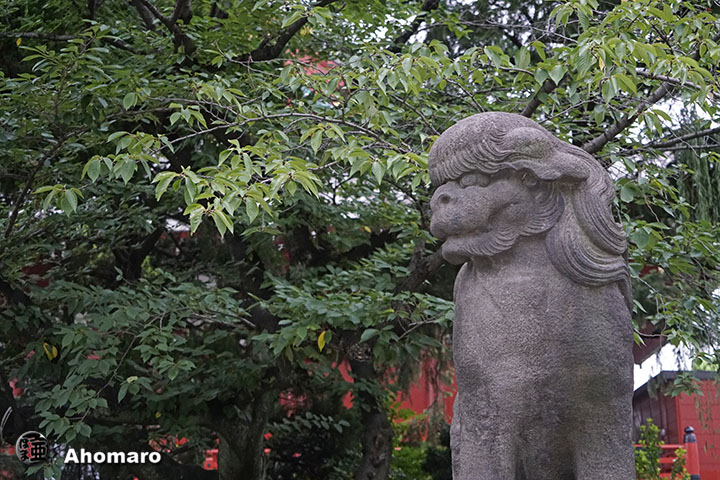 写真00