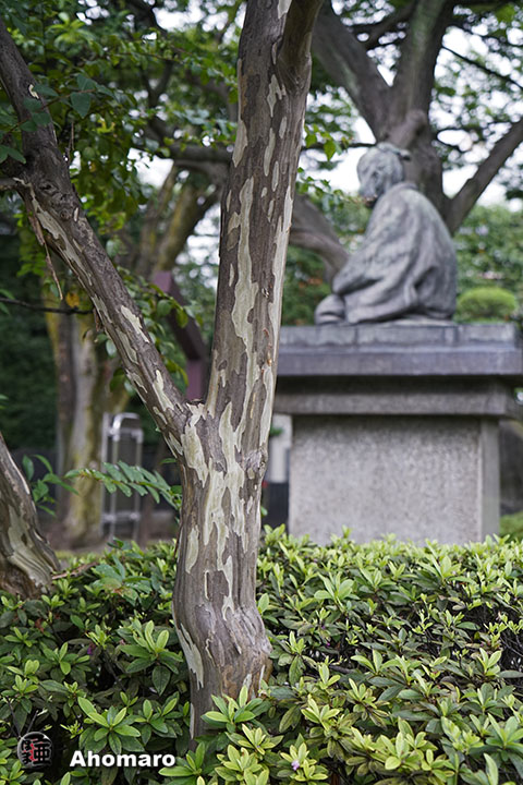 写真00