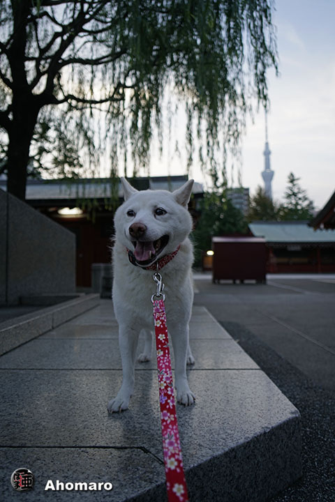 写真00