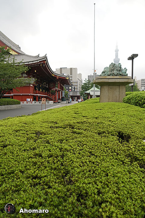 写真00
