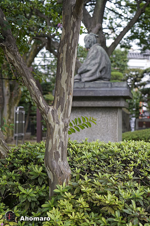 写真00