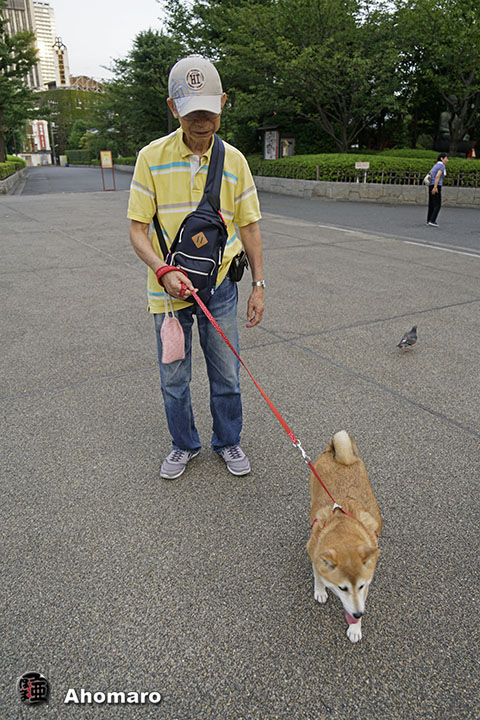 写真00