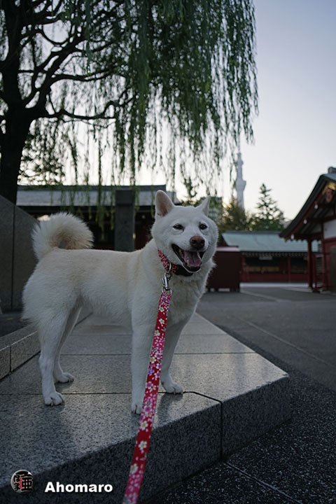 写真00