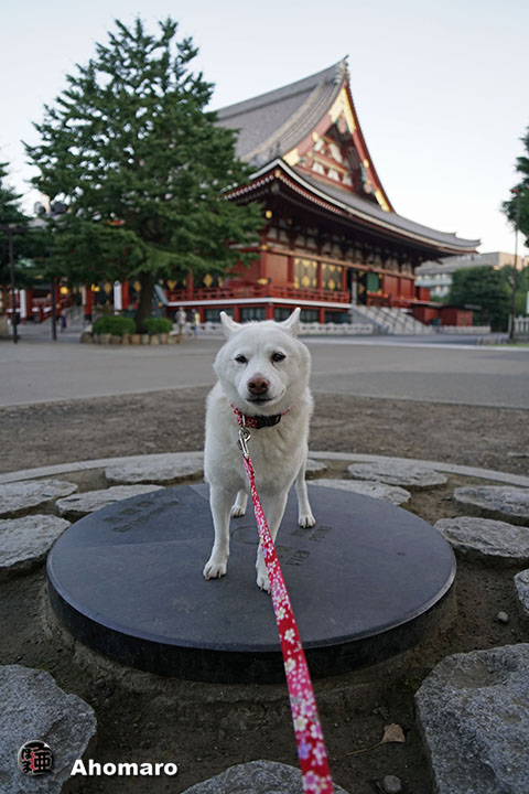 写真00