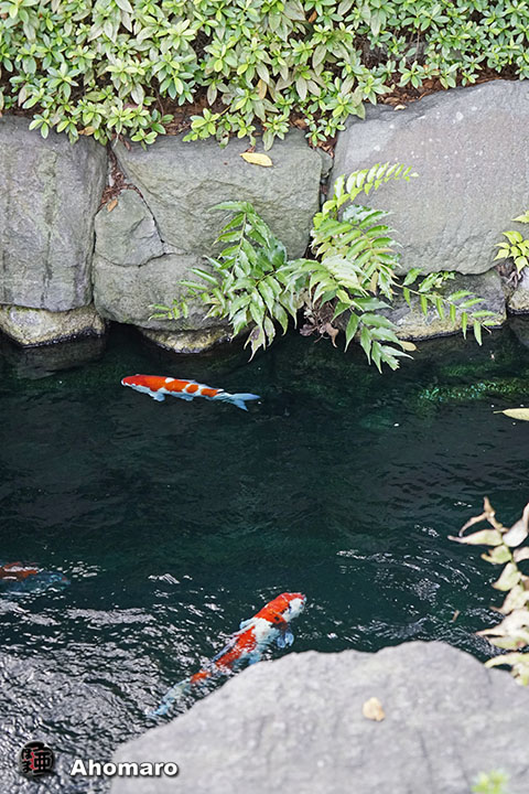 写真00