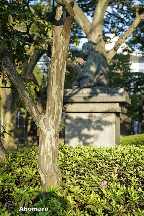 写真00