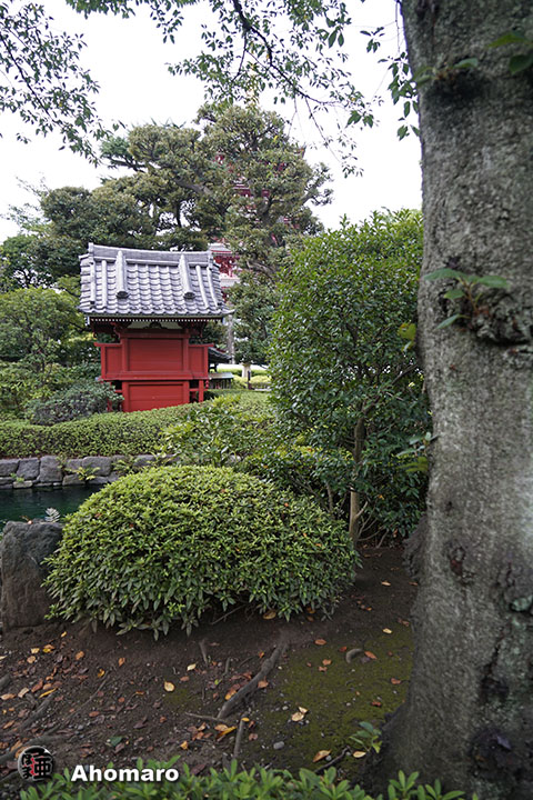 写真00