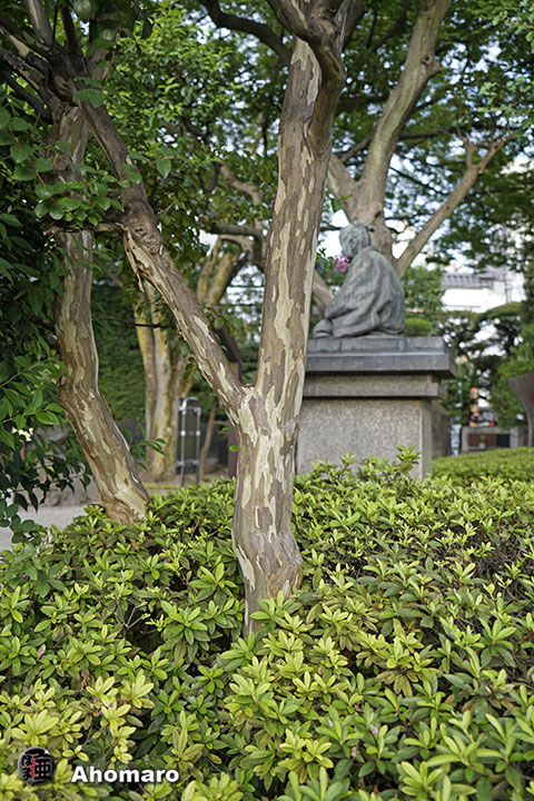 写真00