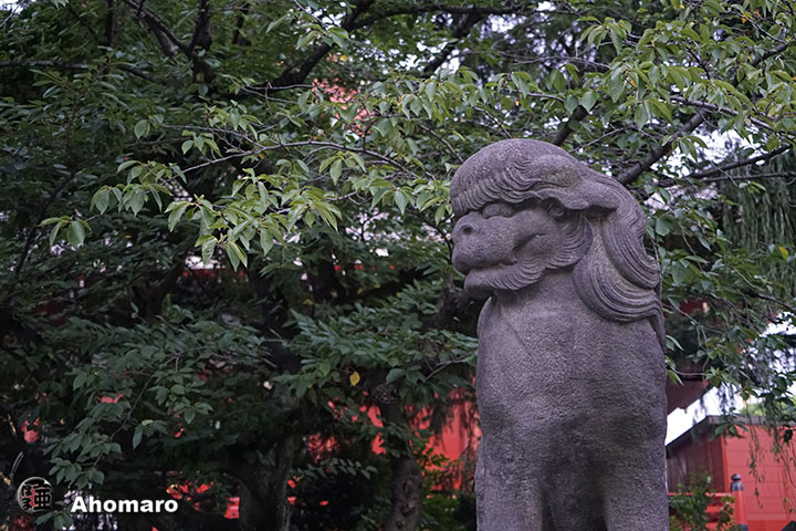 写真00
