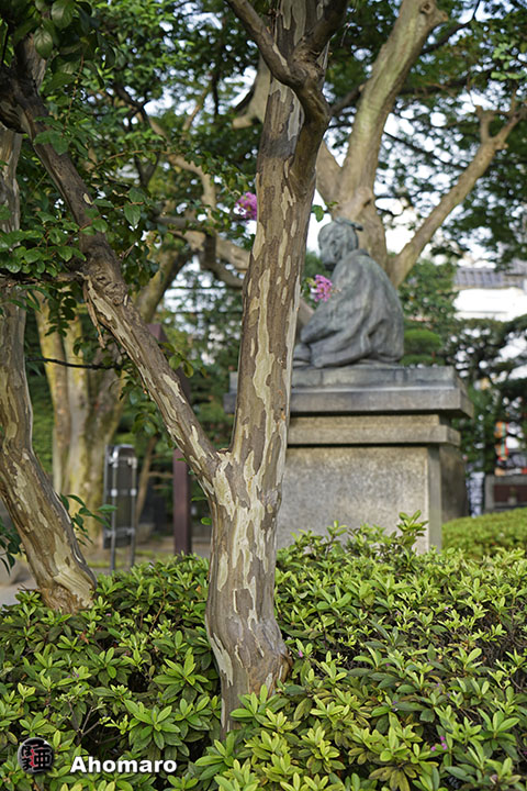 写真00