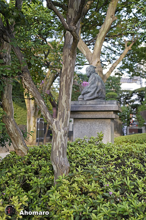 写真00
