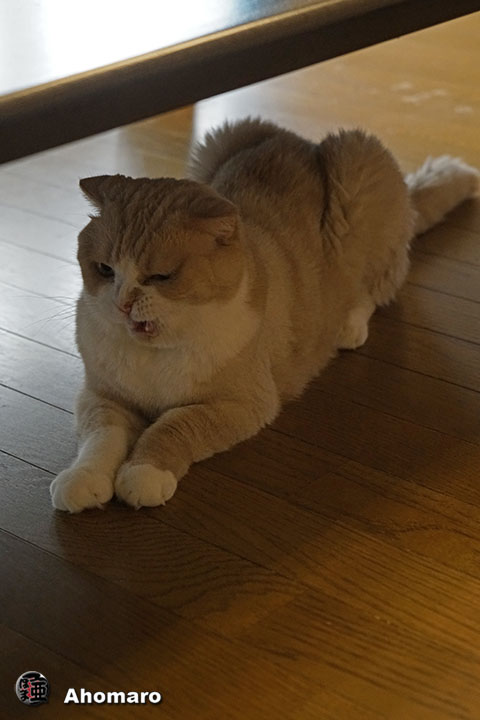 写真00